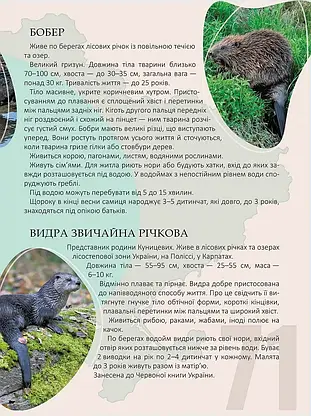 Книга "Енциклопедія для допитливих. Перлини природи України" | Талант, фото 6