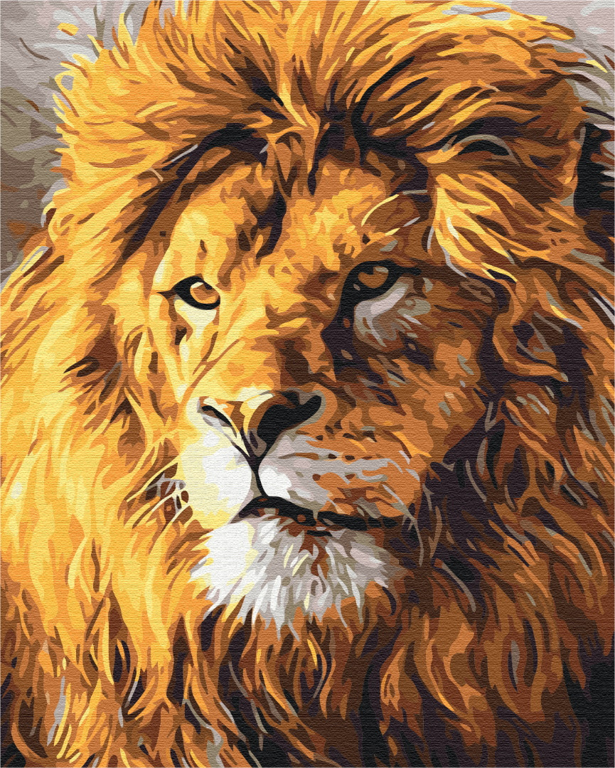 Картина за номерами Вид на прайд, 40*50см, Brushme, BS52292