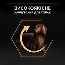 Сухий корм для собак Pro Plan Small&Mini Adult Everyday Nutrion для малих порід з куркою 7 кг, фото 4