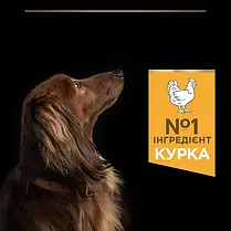 Сухий корм для собак Pro Plan Small&Mini Adult Everyday Nutrion для малих порід з куркою 7 кг, фото 5