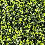 Декоративне зелене покриття "Патіо" 50х50см (GCK-27), фото 2