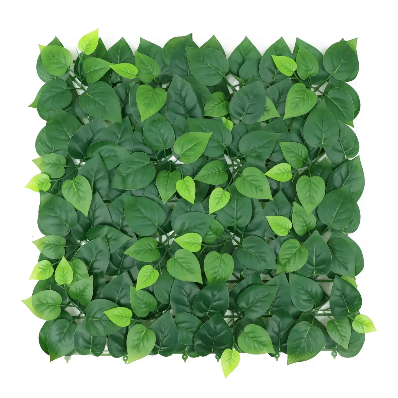 Декоративное зеленое покрытие Фитостена "Молодые листья", 50х50 см (GCK-26) - фото 1 - id-p2122402899