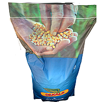 Семена кукурузы DEKALB ДКС 4590 ФАО 360 (Акселерон Елит) NW