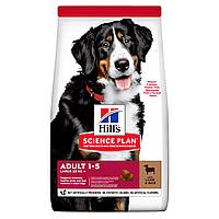 Сухой корм Hill's SP Canine Adult Large Breed ягененок рис 14 кг