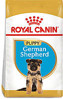 Сухий повнораційний корм для щенят Royal Canin German Shepherd Puppy собак породи німецька вівчарка віком до 15 місяців 3 кг