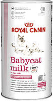 Молоко для новорожденных котят Royal Canin Babycat Milk 300 г