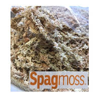 Мох новозеландский Besgrow Spagmoss (Спагмосс) Premier длинный 1 литр (12 грамм), ручна фасовка в зип пакет