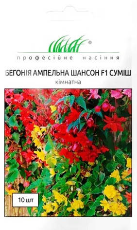 Бегонія клубнева ампельна махрова Шансон F1 суміш 10 шт, фото 1
