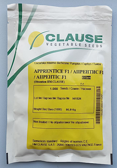 Гарбуз Апрентіс F1 1000 шт (Clause)
