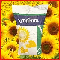 НК Неома Сингента Евролайтинг семена подсолнечника Syngenta