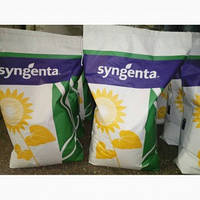 Субаро HTS Сингента (Гранстар) насіння соняшника Syngenta