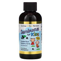 California Gold Nutrition Sambucus for Kids 120 ml MS