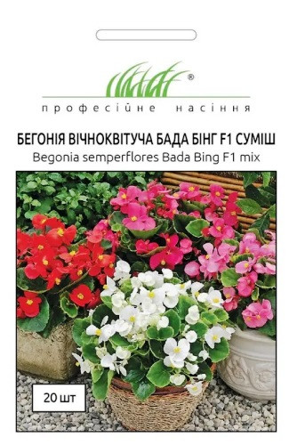 Бегонія вічноквітуча Бада Бінг F1 суміш 20 шт