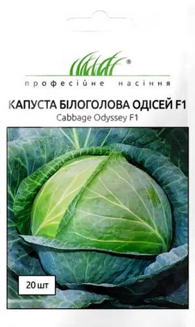 Насіння капусти Одісей F1 20 шт., фото 1
