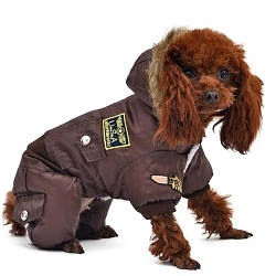 Одяг для собак і котів. Куртки, комбінезони та дощовики для тварин