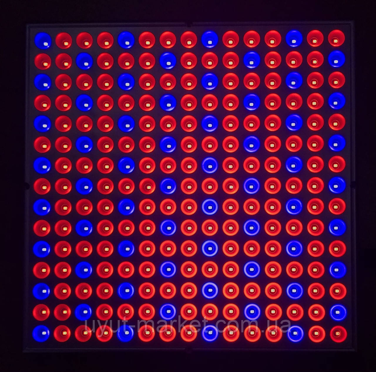 Світлодіодна фітолампа фітопанель для розсади 45 Вт 300х300х35 мм червоний/синій