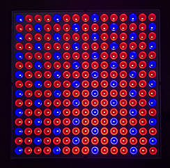 Світлодіодна фітолампа фітопанель для розсади 45 Вт 300х300х35 мм червоний/синій