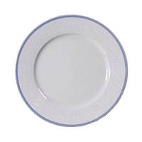Тарелка обеденная Thun Opal (Обводка голуба) 6 штук d25 см фарфор (8013601)
