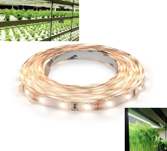 Фітострічка 6,5W(12V) для рослин повного спектру PRO(максимальна яскрависть 150люм/Вт)