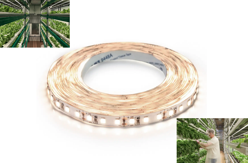 Світлодіодна лед фітострічка для рослин 13,5W(12V) PRO(макс яскравість 150люм/Вт) 4000-4500К для зелених чи розсади