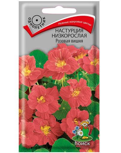 

Семена Настурция низкорослая Розовая Вишня 1 грамм Поиск, Розовый