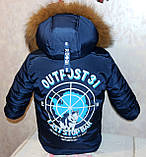 Зимовий комбінезон +куртка 30 розмір (натуральна облямівка), фото 2