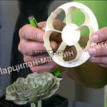 Вирубка для мастики Квітка велика 6 штук, фото 3