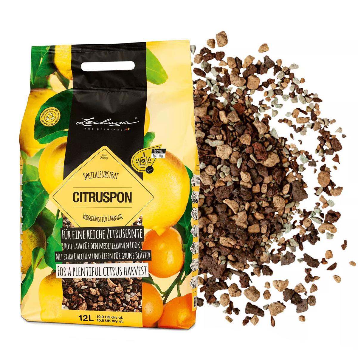 Субстрат Lechuza CitrusPON 12 л для цитрусових (Лечуза, Німеччина)