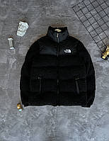 TNF S