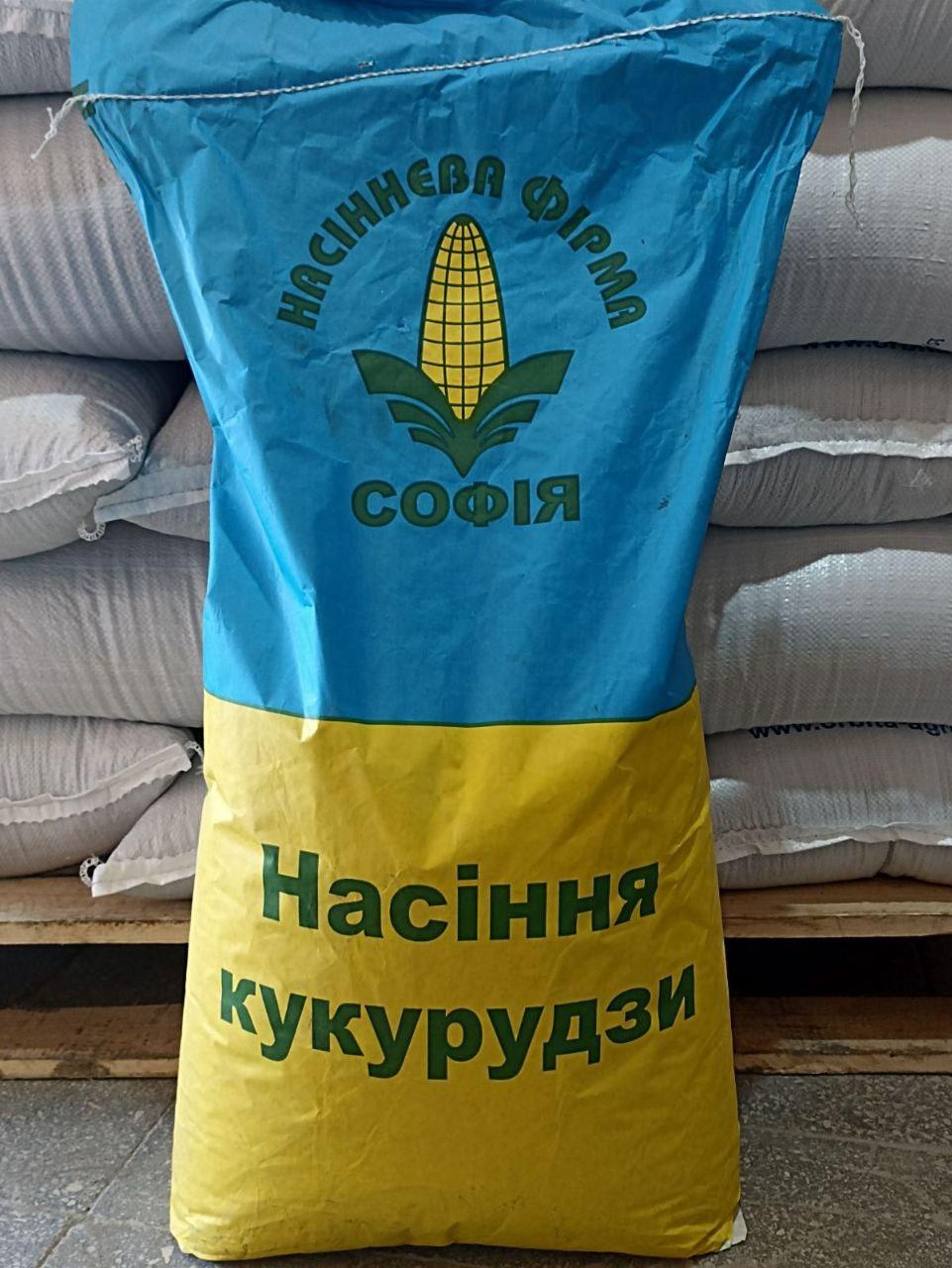 Насіння кукурудзи Голосіївська, фото 1