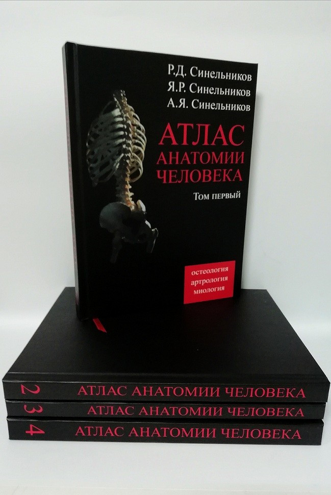 Атлас анатомії Синельникова у 4-х т.т.
