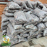 Кора соснова великої та середньої фракції розфасована у мішках 50л. для ландшафтного дизайну, фото 8