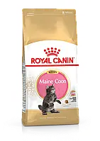 Royal Canin Maine Coon Kitten сухой корм для котят породы Мейн-кун 2 кг