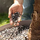 Субстрат Lechuza PalmPON 12 л для пальм і тропічних рослин (Лечуза, Німеччина), фото 3