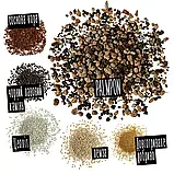 Субстрат Lechuza PalmPON 12 л для пальм і тропічних рослин (Лечуза, Німеччина), фото 2