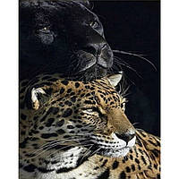 Алмазная картина Strateg Пантера и леопард 30х40 см HEG86057