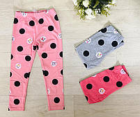 Лосини для дівчат оптом, S&D,98-128 см, № CH-6573, фото 3