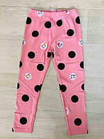 Лосини для дівчат оптом, S&D,98-128 см, № CH-6573, фото 4