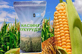 Кукурудза Запоріжський 25кг  333 МВ Урожай 2023 Року