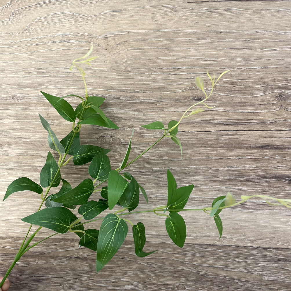 Гілка рускусу зелена, гілка верби 42 см, фото 1