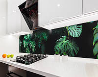 Наклейка на кухонный фартук 60 х 250 см, фотопечать с защитной ламинацией листья монстерры, растения