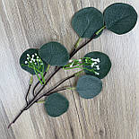 Штучна гілка Евкаліпт, з ягодою 35 см, фото 2