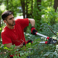 Новинка! Гілкоріз садовий для обрізання гілок 730 мм INTERTOOL FT-1112