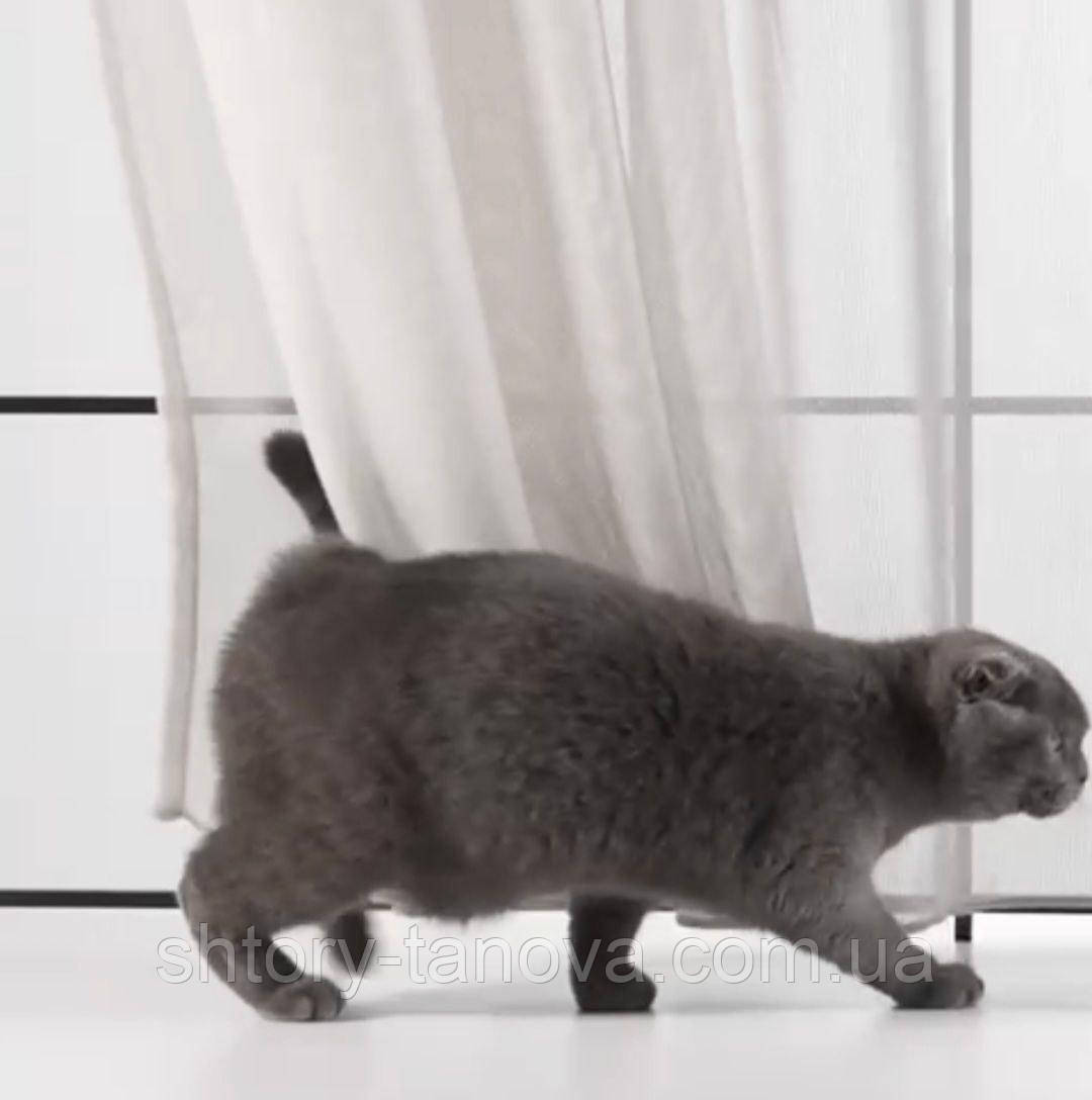 Тюль антикіготь, сітка антивандальна, міцний тюль власний імпорт, екрю, Туреччина, 290 см, фото 1