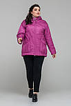 Куртка малина 48 (101871), фото 5