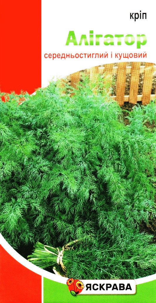 Насіння кропу Алігатор, кущовий, ТМ Яскрава, 2,5г