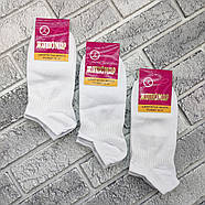 Шкарпетки жіночі короткі чешка весна/осінь білі р.35-41 ЖИТОМИР ГС 30038613, фото 2