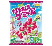 Набор для приготовления конфет Kracie Naru Naru Gummy Fruit, 15г