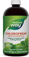 Nature's Way Chlorofresh Liquid Chlorophyll 473 ml МЯТА