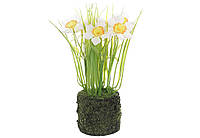 Декоративна композиція Нарциси зі штучним мохом 22см